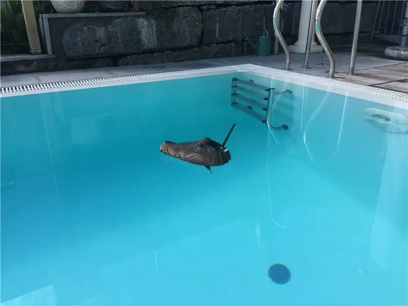 Sensor de piscina solar de cocodril