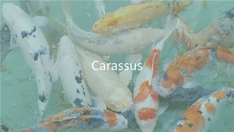 Carassus_IoT_electronic_project