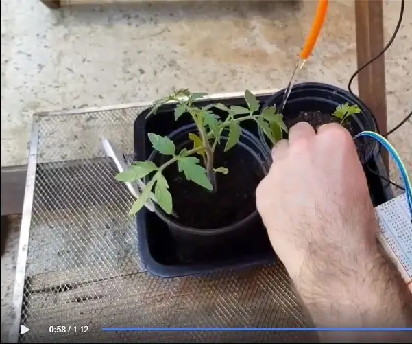 AUTOMATED WATERING SYSTEM OF GREENHOUSE: 4 Kauj Ruam