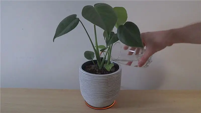 Monitor inteligente de plantas internas - saiba quando sua planta precisa de rega