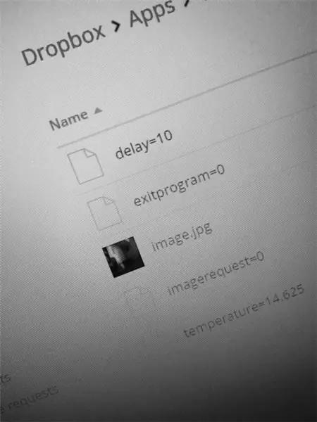 „Raspberry Pi“namų stebėjimas naudojant „Dropbox“