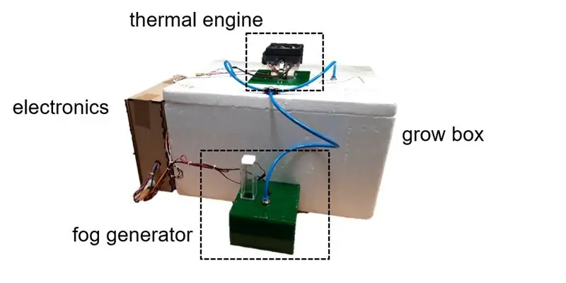 Mushroom Climate Box