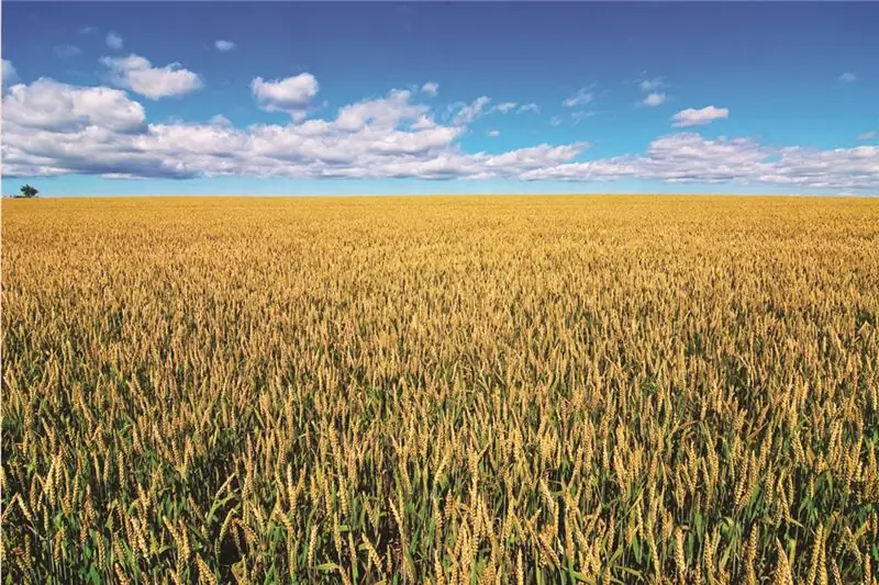 La serie di sensori agricoli