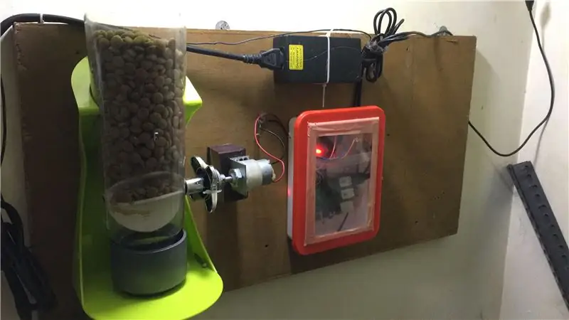 Raspberry Pi Automatic Dog Feeder & Live Video Streamer