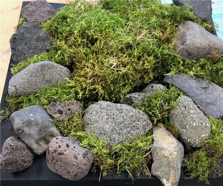 Moving Moss: 5 Βήματα