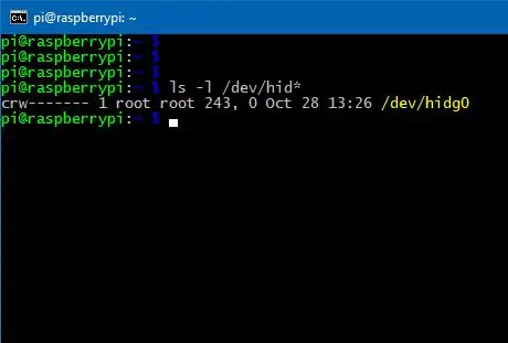 Configura l'RPi nella tastiera USB (HID)