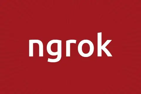 Setting Server - Ngrok