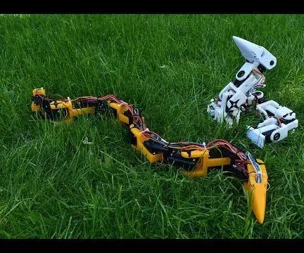 Bioinspired Robotic Snake: 16 korakov (s slikami)