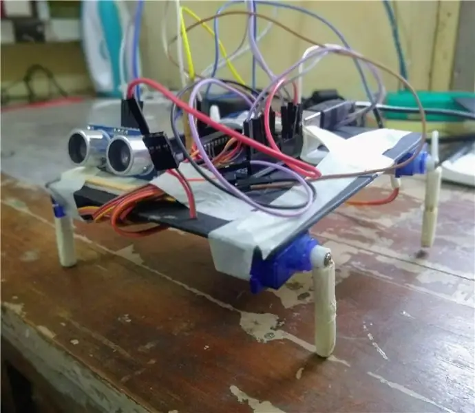 Self loop robot