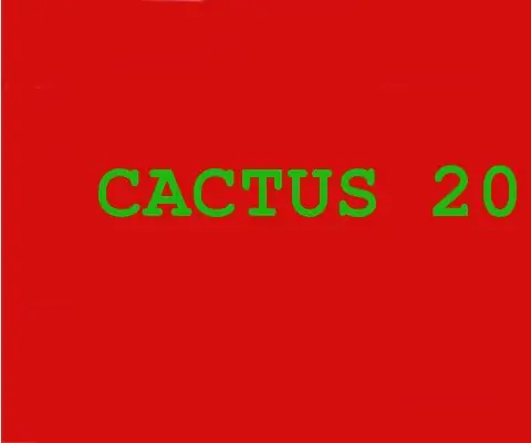 Cactus 2000: 7 Βήματα