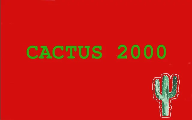 kaktüs 2000