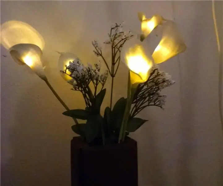 Hnub Ci Rechargeable Decor: 7 Kauj Ruam