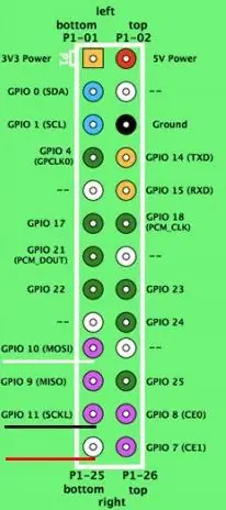 Mozak: Malina Pi