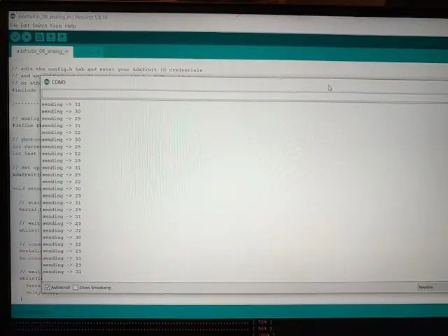 Entrada Arduino