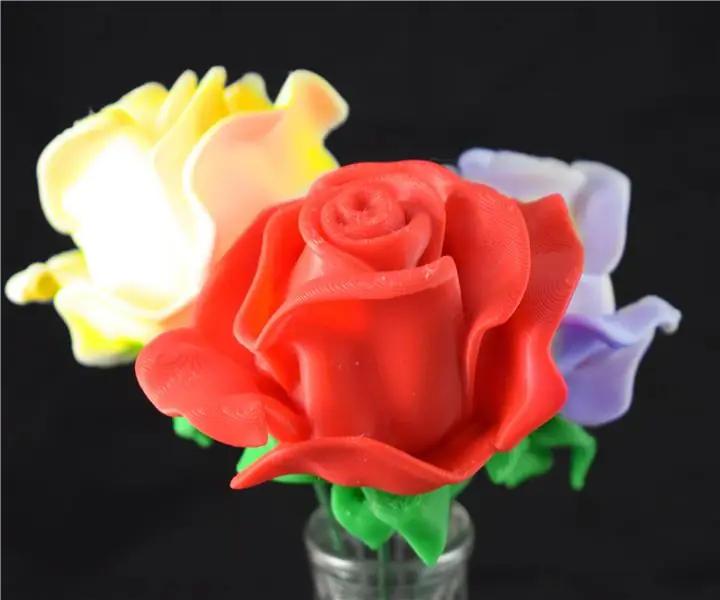 Modelatge de splines de flors de flors en 3DS MAX per a la impressió 3D: 7 passos (amb imatges)