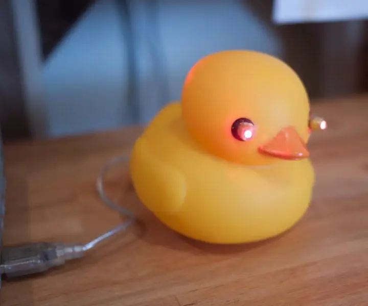 USB Laser Duck: 6 trinn (med bilder)