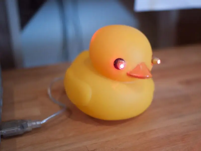 USB-Laser-Ente