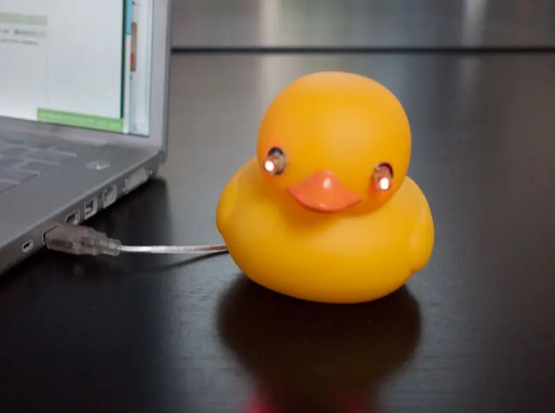 USB Laser Duck