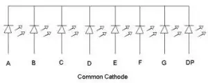 Logica del codice e visualizzazione