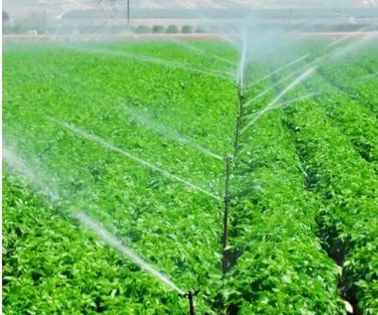 Sistema De Irrigação Automático Para Plantas: 8 قدم