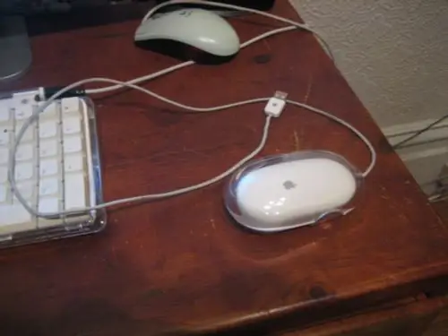 Curea de curea Pro Mouse