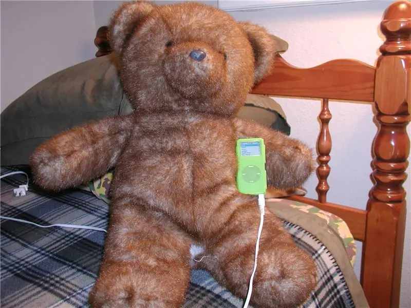 Teddy Bear Speaker: 6 Mga Hakbang