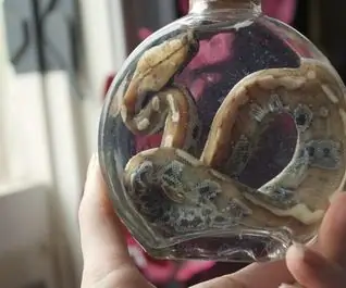 Python dalam Sebotol: 4 Langkah