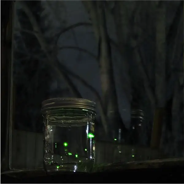 Jar of Fireflies: 18 ขั้นตอน (พร้อมรูปภาพ)