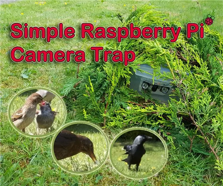 Simpleng Raspberry Pi Camera Trap na Ginawa Mula sa isang Lalagyan ng Pagkain: 6 na Hakbang (na may Mga Larawan)