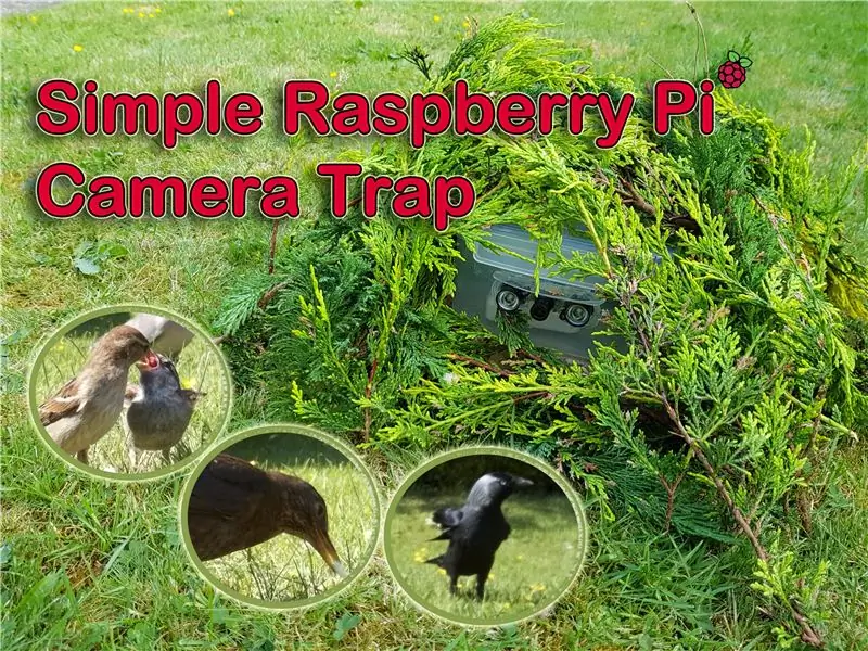 Armadilha fotográfica simples Raspberry Pi feita a partir de um recipiente de comida