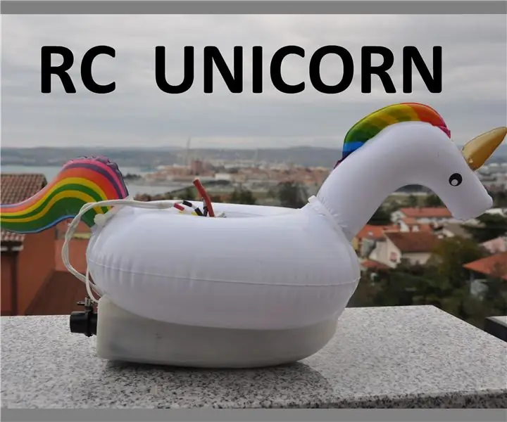 DIY RC Floatie Unicorn: 8 koraka (sa slikama)