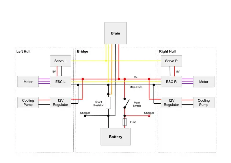 Músculos: cableado