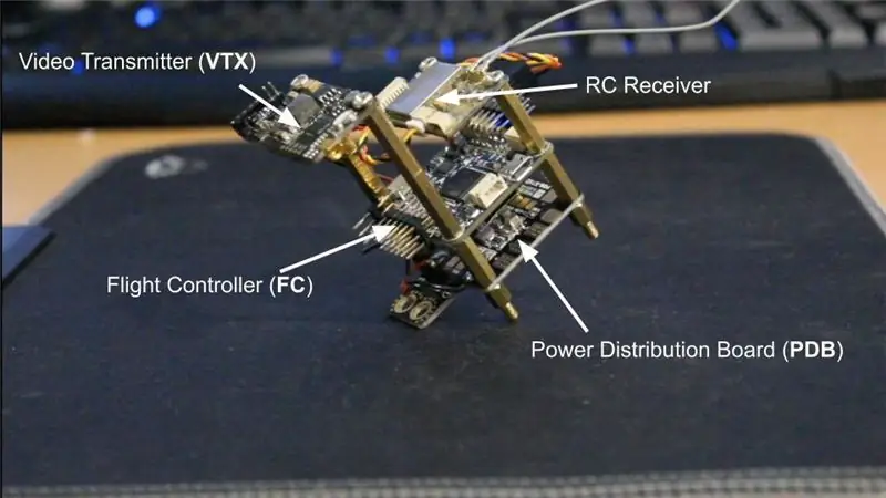 Cervell: components