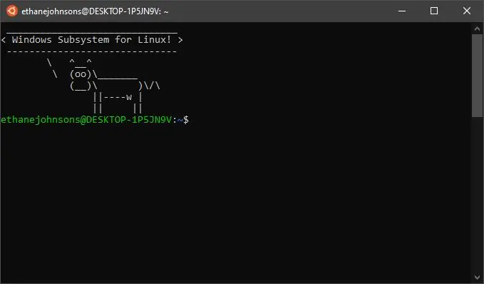 Installazione del sottosistema Windows per Linux (WSL)