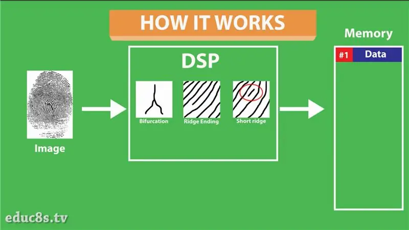 El mòdul del sensor d’empremta digital