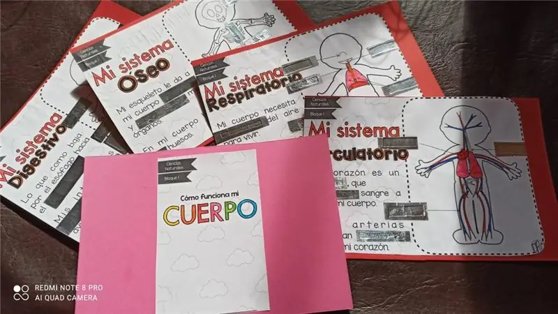 Tarjetas Interactivas De Anatomia Para Niños Pequeños