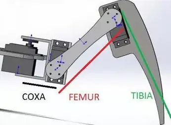 מדוע Quadruped וכיצד זה עובד?