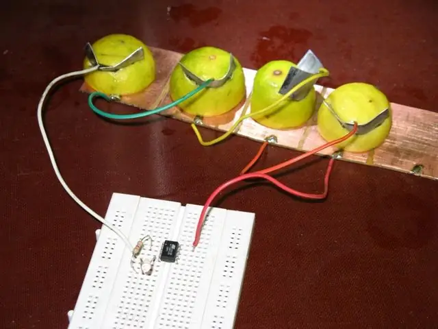 Le minuscule microcontrôleur AVR fonctionne sur une batterie de fruits : 9 étapes (avec photos)