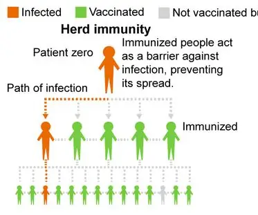 Rokotettava vai ei? hanke paimen immuniteetin havaitsemisesta sairaussimulaation avulla: 15 vaihetta