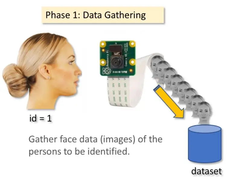 Data-insameling