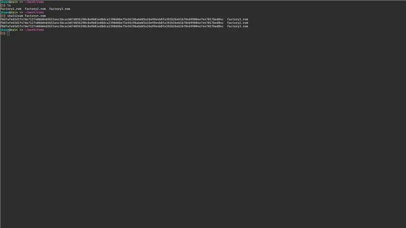 Compare os 3 arquivos (em RPI)