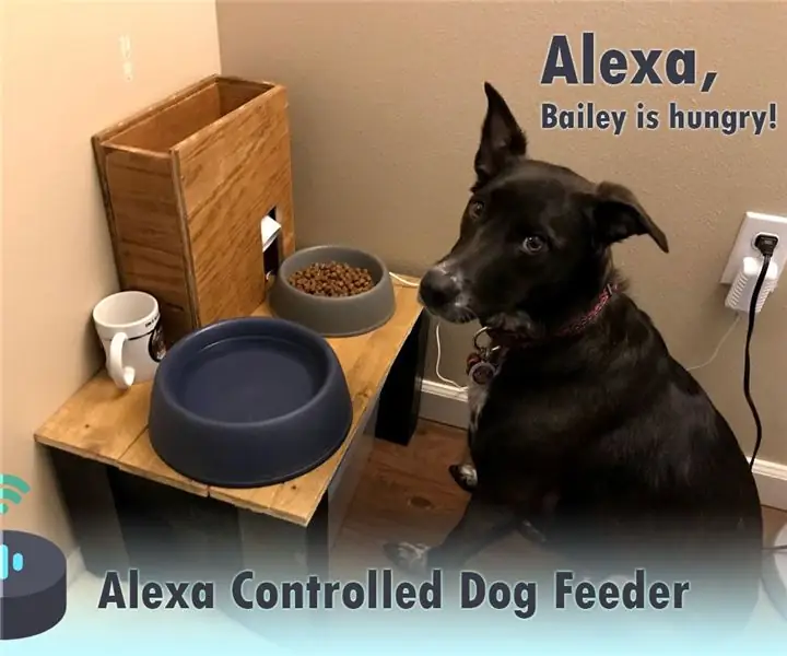 Alexa Kontrollü Köpek Besleyici