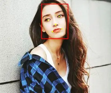 การตรวจจับใบหน้าบน Raspberry Pi 4B ใน 3 ขั้นตอน: 3 ขั้นตอน