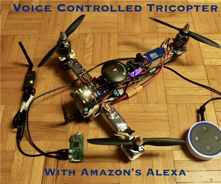 Tricopter imprimat 3D controlat vocal: 23 de pași (cu imagini)