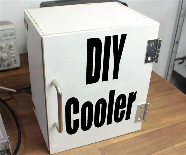 DIY Cooler: 5 βήματα (με εικόνες)