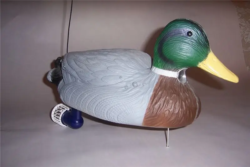 R/C Duck Decoy-Camera Hack: 8 Кадам (Сүрөттөр менен)