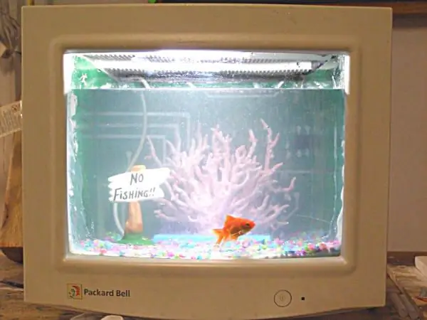 Verander uw oude CRT-computermonitor in een aquarium! ! !: 11 stappen (met afbeeldingen)