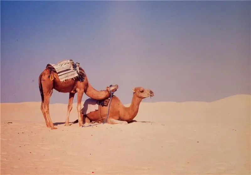 עבודה עם שקופיות