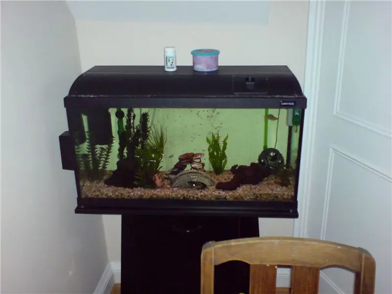 Een online aquarium-webcam maken! 8 stappen (met afbeeldingen) Antwoorden op al uw "Hoe?"