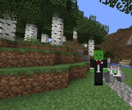 Egyszerű egyedi Minecraft kutya (nincs mod): 9 lépés